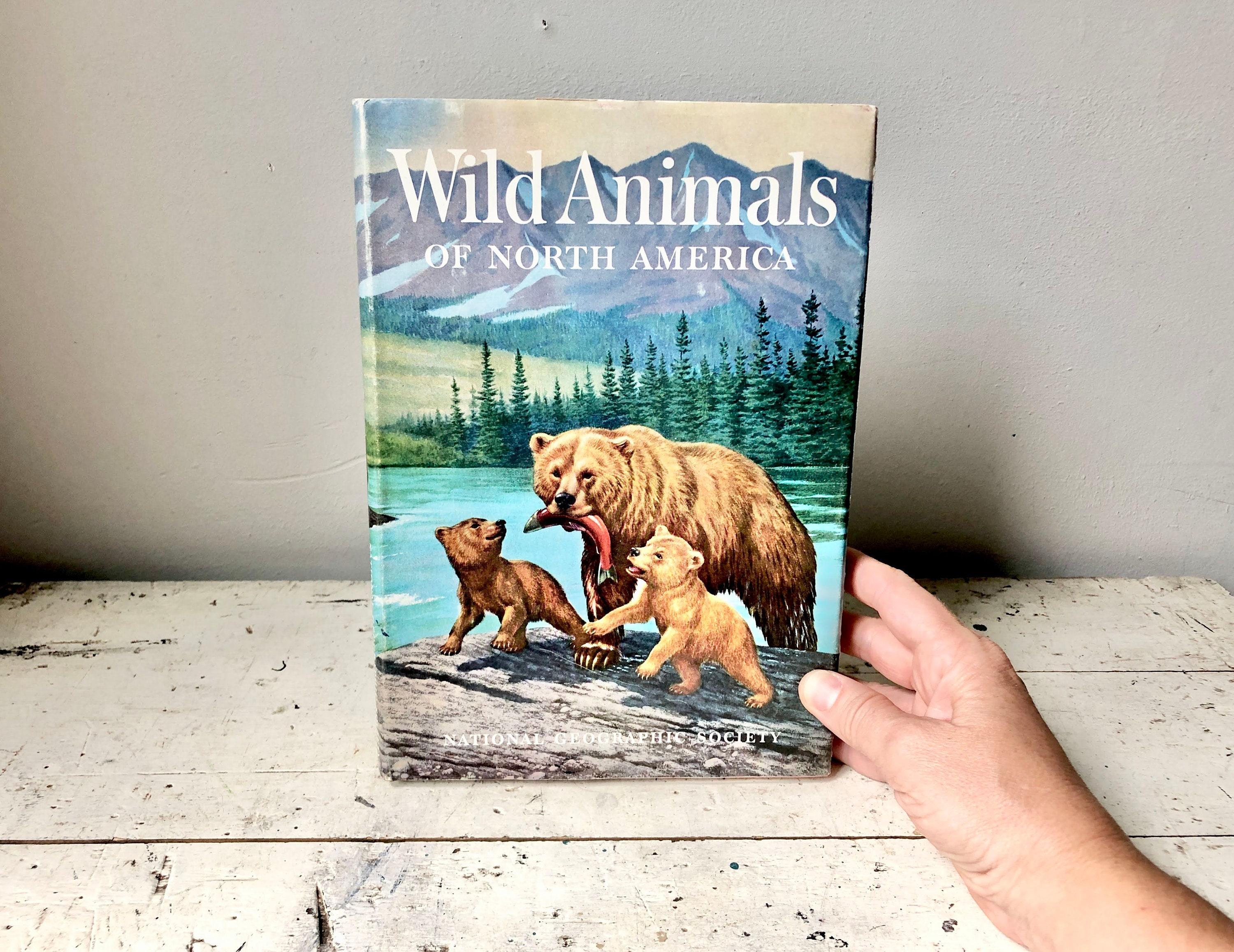 1960 Wild Animals of North America Hardcover From National ...