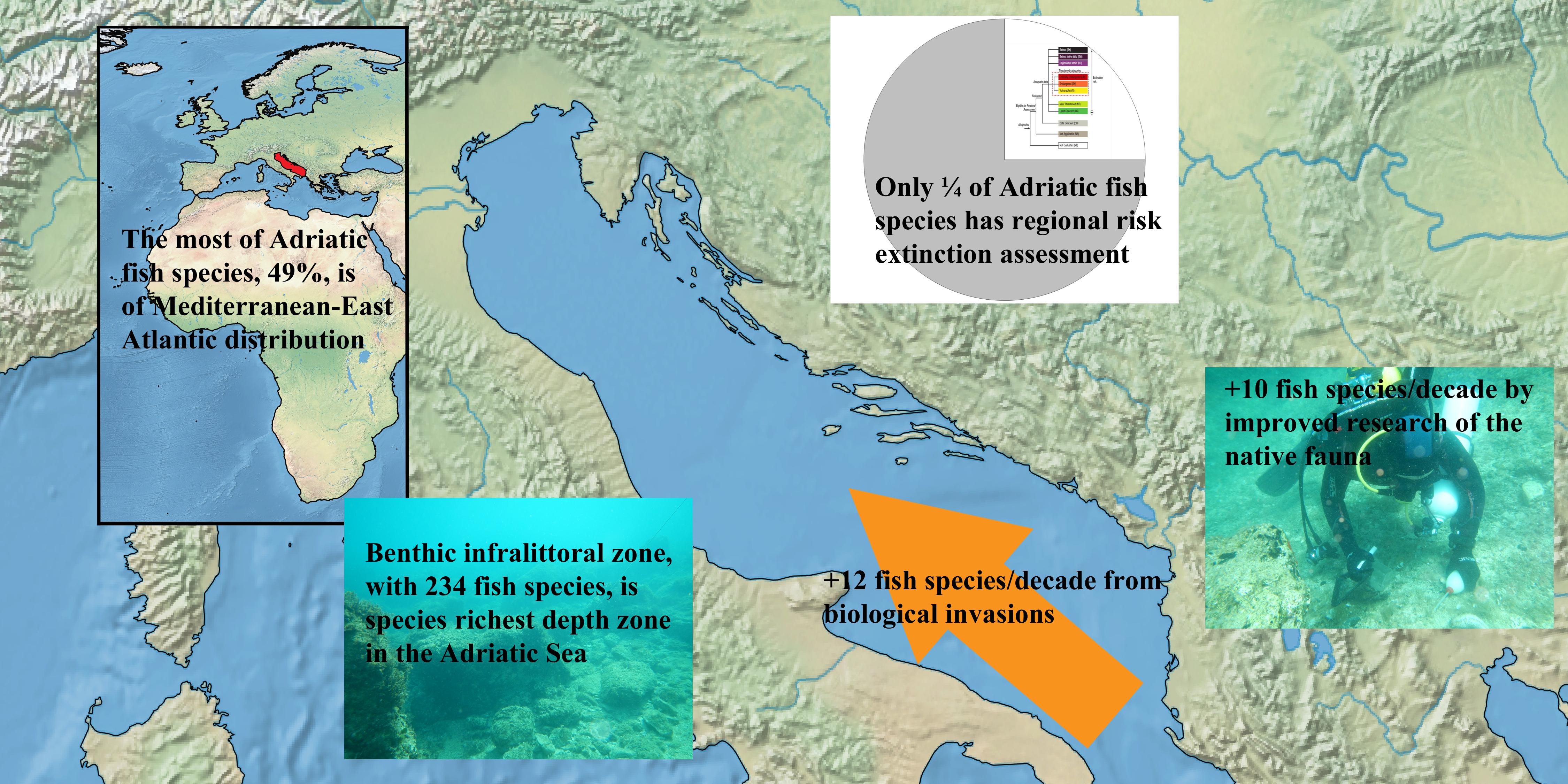 Fishes | Free Full-Text | An Analysis of Adriatic ...