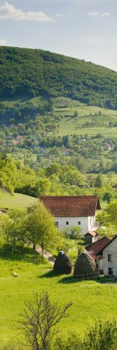 Портал Черногория сегодня