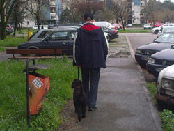 Черногорцы и их домашние животные